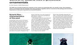 Control of Sciarid flies in protected ornamentals